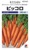 にんじん 種 【 ピッコロ 】 種子