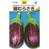 なす 種 【縞むらさき】 9粒