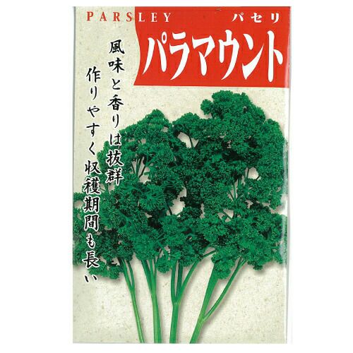 パセリ 種 【 パラマウント 】 種子