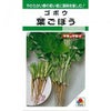 ごぼう 種 【 葉ごぼう 】 種子