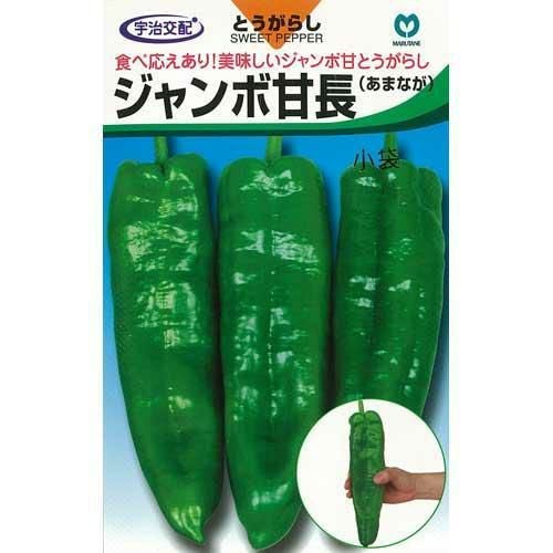 ししとう | 菜園くらぶ 種と苗と園芸資材の専門店