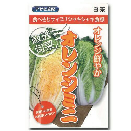白菜 種 【オレンジミニ】 1ml | 菜園くらぶ 種と苗と園芸資材の専門店