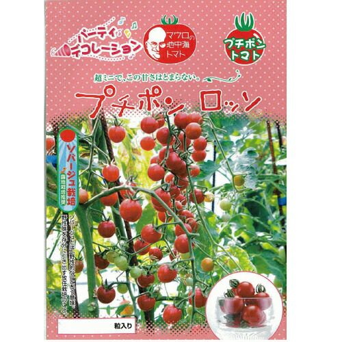 ミニトマト 種 【プチポンロッソ】 1,000粒 （ 種 野菜 野菜種子 野菜種 ）