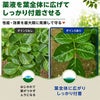 ダインS 100ml 展着剤