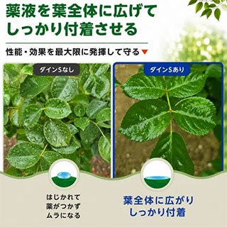 ダインS 100ml 展着剤