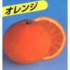 柑橘類の苗 【 清見オレンジ 】 1年生苗木