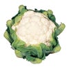 カリフラワー 苗 【美星】 苗 6本セット 【予約販売】 野菜苗