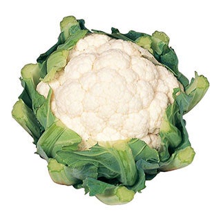 カリフラワー 苗 【美星】 苗 6本セット 【予約販売】 野菜苗