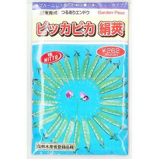エンドウ 種 【 ピッカピカ絹莢 】