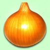 たまねぎ 種 【 ラムダ三号 】 2dl