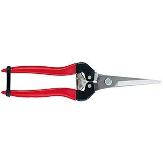 摘果鋏エクストラロングタイプステンレス（ブリスターパック入り） 300LL-DX-BP