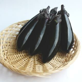 ナス 種 【 あのみのり２号 】 20粒 （ 種 野菜 野菜種子 野菜種 ）