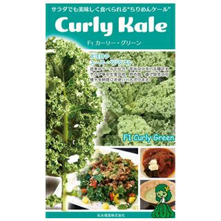 ケール 種 ちりめんケール カーリーグリーン