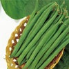 インゲン 種 【 つるなし菜豆 レグルス 】 1L ( インゲンの種 )