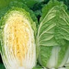 白菜 種 【 ゆめぶき506 】 20ml ( 白菜の種 )