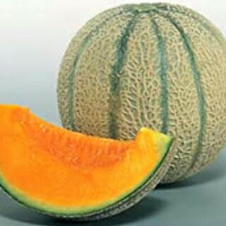 メロン 種 【 マルセイユ 】 100粒 ( メロンの種 )