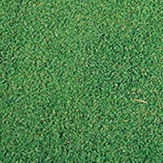 芝生 種 【 ベントグラス A－1 】 500g ( 芝生の種 )