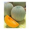 メロン 種 【 レノンウエーブ 】 100粒 ( メロンの種 )
