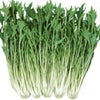 水菜 種 【 夏白泉 】 2dl ( 水菜の種 )