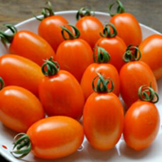 トマト 種 【 オレンジなつめっ娘 】