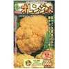カリフラワー 種 【 オレンジさん 】
