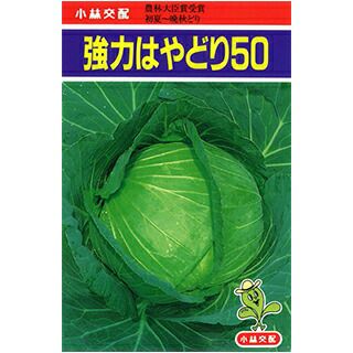 キャベツ 種 【 強力はやどり50 】 ペレット5千粒 ( キャベツの種