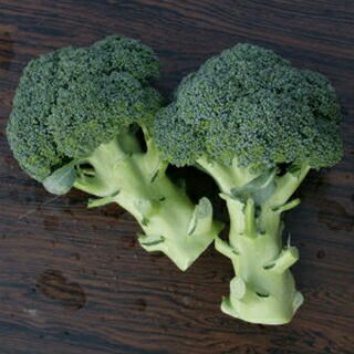 ブロッコリー 種 【 恵麟 】 コート5千粒 ( ブロッコリーの種 )