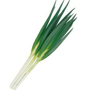 ネギ 種 【 葵の剣 】 ペレット5千粒 ( ネギの種 )