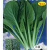 小松菜 種 【 夏の甲子園 】 2dl ( 小松菜の種 )