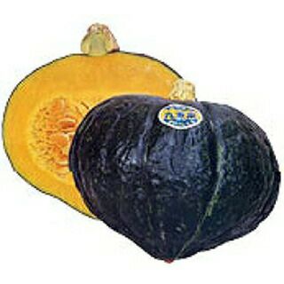 カボチャ 種 【 九重栗イレブン 】 100粒 ( カボチャの種 )