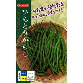 ピーマン 種 【 ひもとうがらし 】 20ml ( ピーマンの種 )