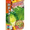 レタス 種 【 炒チャオ（ちゃおちゃお） 】 コート1000粒 ( レタスの種 )