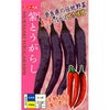 ピーマン 種 【 紫とうがらし 】
