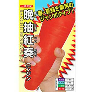 ニンジン 種 【 晩抽紅奏 】 コート1万粒 ( ニンジンの種 )