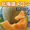 北海道キングメロン（特大1玉） 赤肉　2kg×1玉（優規格以上）