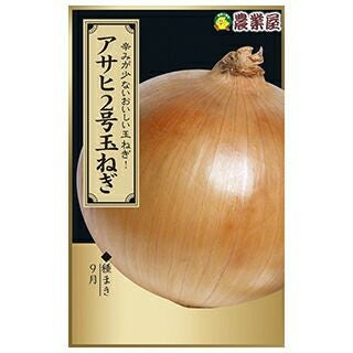 玉ねぎ 種 【 アサヒ２号 】 3ml(約290粒) ( 玉ねぎの種 )