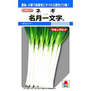 ネギ 種 【 名月一文字 】