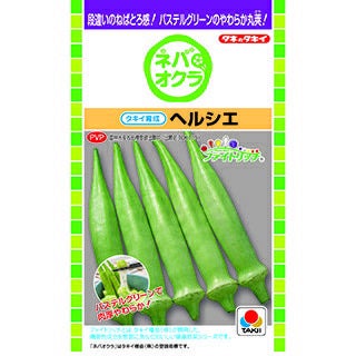 オクラ 種 【 ヘルシエ 】