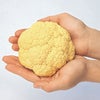 カリフラワー 苗　オレンジ美星 6本セット【予約販売】 野菜苗