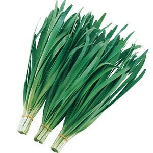 ニラ 種 【 ハイパーグリーンベルト 】 20ml ( ニラの種 )