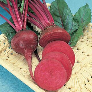 カブ 種 【 ビーツデトロイトダークレッド（タキイ） 】 1L ( カブの種 )
