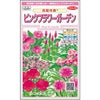 花絵の具 種 【 ピンクフラワーガーデン 】 実咲