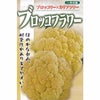 カリフラワー 種 【 ブロッコフラワー 】 1．2ml ( カリフラワーの種 )