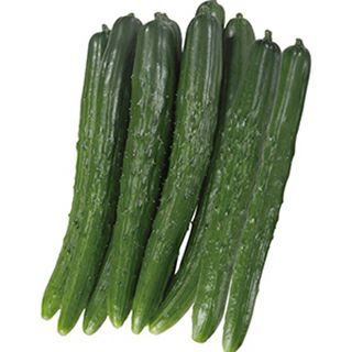 キュウリ 種 【 ロジグリーン 】