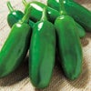 とうがらし 種 【 ハラペーニョ グリーンファイア 】