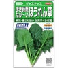 ホウレンソウ 種 【 まき時期なが～いほうれん草　ジャスティス 】 実咲