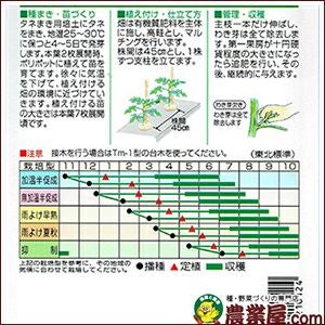 トマト 種 【 ＣＦプチぷよイエロー 】 小袋 ( トマトの種 )