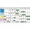 ブロッコリー 種 【 ファイター 】 キダネ２０００粒 ( ブロッコリーの種 )