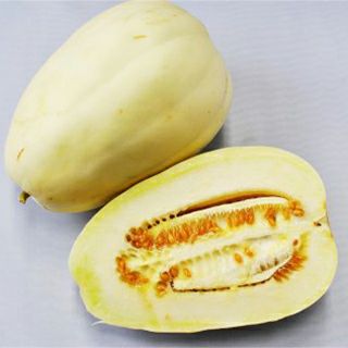 まくわ | 菜園くらぶ 種と苗と園芸資材の専門店