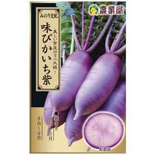 大根 種 【味ぴかいち紫】 2ｍｌ（約130粒）（ 種 野菜 野菜種子 野菜種 ）